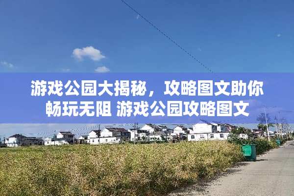 游戏公园大揭秘，攻略图文助你畅玩无阻 游戏公园攻略图文