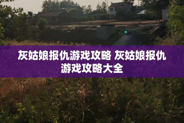灰姑娘**游戏攻略 灰姑娘**游戏攻略大全