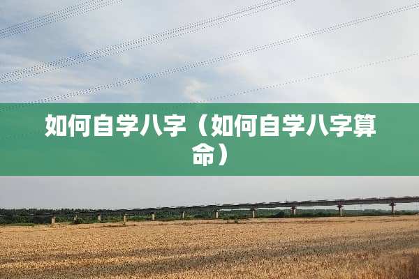 如何自学八字（如何自学八字算命）