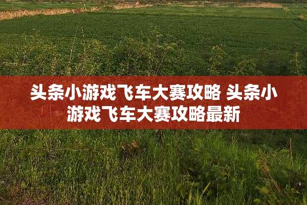 头条小游戏飞车大赛攻略 头条小游戏飞车大赛攻略最新
