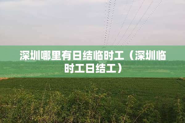 深圳哪里有日结临时工（深圳临时工日结工）