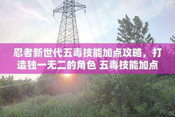 忍者新世代五毒技能加点攻略，打造独一无二的角色 五毒技能加点