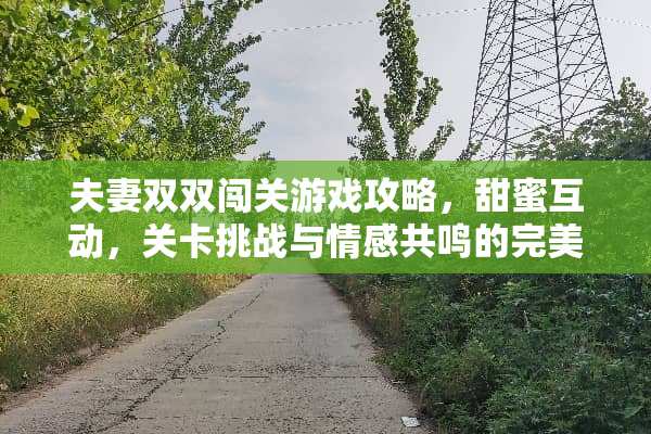夫妻双双闯关游戏攻略，甜蜜互动，关卡挑战与情感共鸣的完美结合 夫妻双双闯关游戏攻略