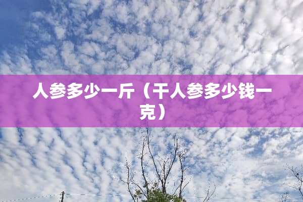 人参多少一斤（干人参多少钱一克）