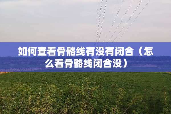 如何查看骨骼线有没有闭合（怎么看骨骼线闭合没）