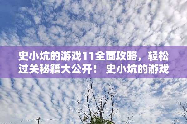 史小坑的游戏11全面攻略，轻松过关秘籍大公开！ 史小坑的游戏11攻略