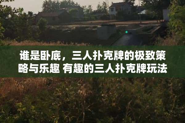 谁是**，三人**牌的极致策略与乐趣 有趣的三人**牌玩法