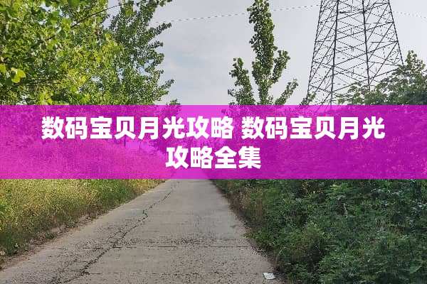 数码宝贝月光攻略 数码宝贝月光攻略全集