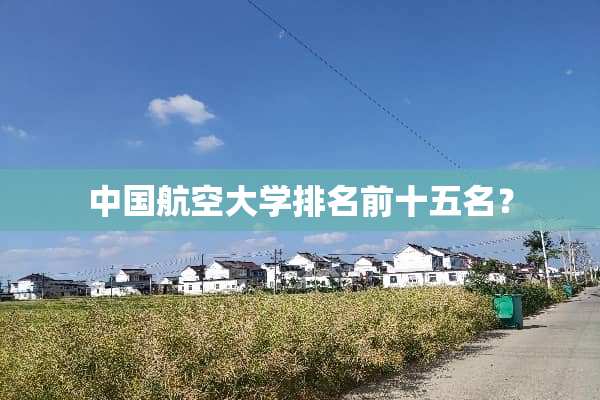中国航空大学排名前十五名？
