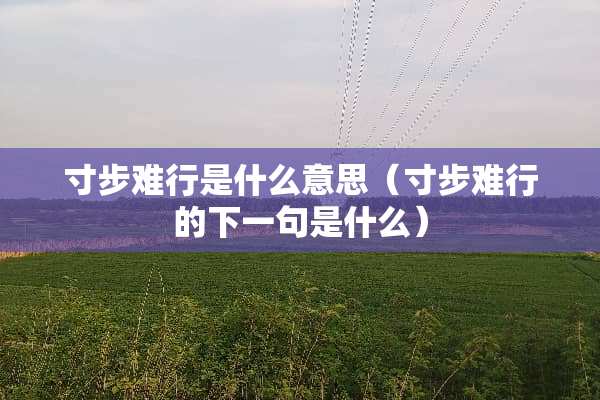 寸步难行是什么意思（寸步难行的下一句是什么）