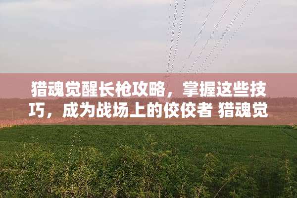 猎魂觉醒长*攻略，掌握这些技巧，成为战场上的佼佼者 猎魂觉醒长*攻略