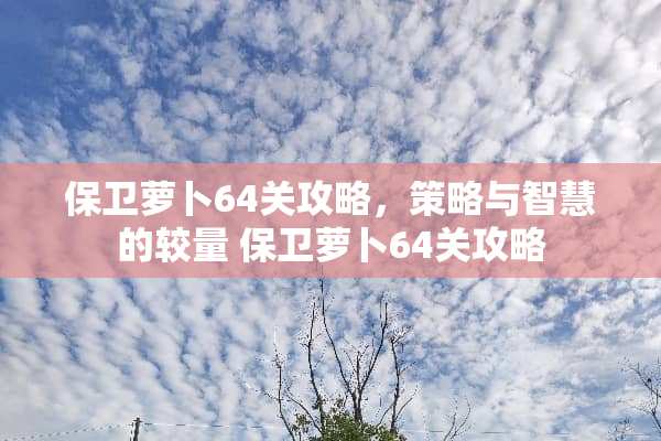 保卫萝卜64关攻略，策略与智慧的较量 保卫萝卜64关攻略