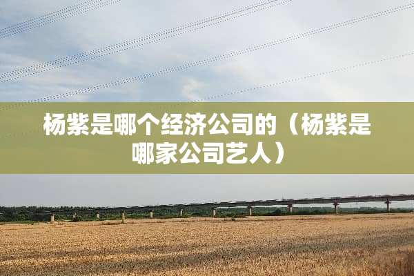 杨紫是哪个经济公司的（杨紫是哪家公司艺人）