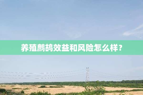 养殖鹧鸪效益和风险怎么样？