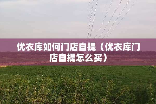优衣库如何门店自提（优衣库门店自提怎么买）