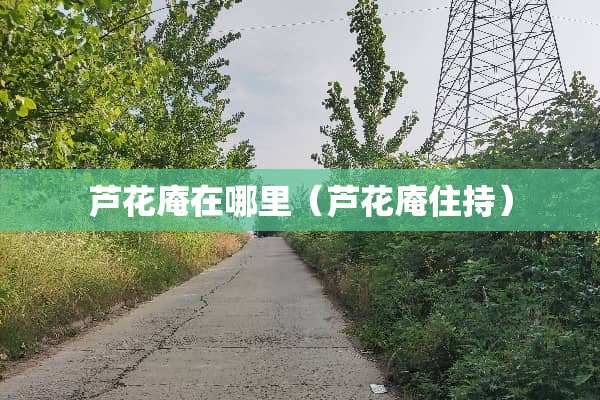 芦花庵在哪里（芦花庵住持）