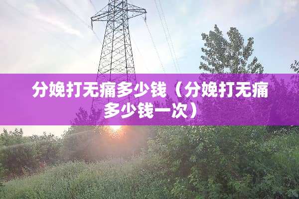 分娩打无痛多少钱（分娩打无痛多少钱一次）