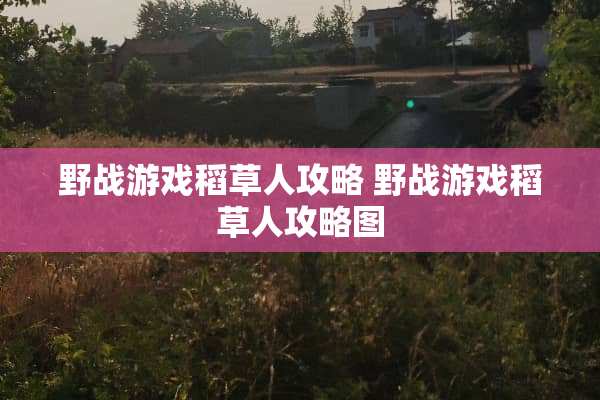 **游戏稻草人攻略**游戏稻草人攻略图