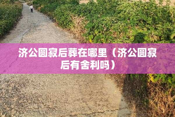 济公圆寂后葬在哪里（济公圆寂后有舍利吗）