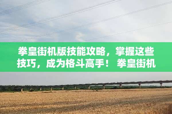 拳皇街机版技能攻略，掌握这些技巧，成为格斗高手！ 拳皇街机技能