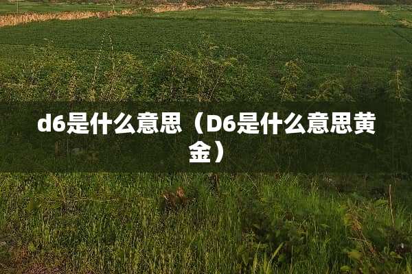 d6是什么意思（D6是什么意思黄金）