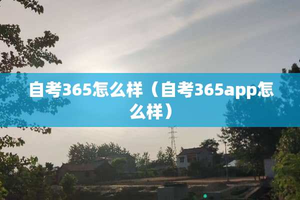 自考365怎么样（自考365app怎么样）