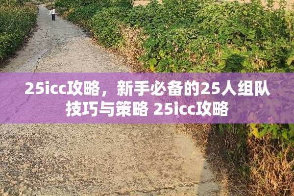 25icc攻略，新手必备的25人组队技巧与策略 25icc攻略