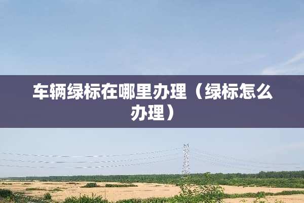 车辆绿标在哪里办理（绿标怎么办理）