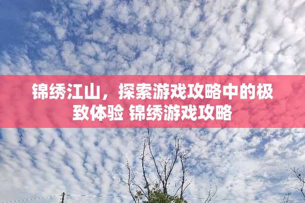 锦绣江山，探索游戏攻略中的极致体验 锦绣游戏攻略