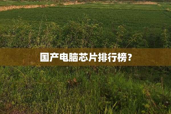 国产电脑芯片排行榜？