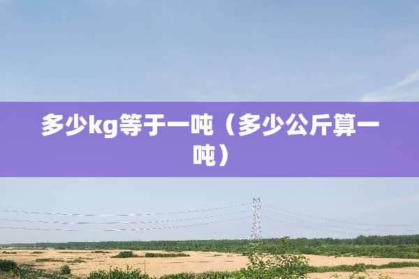 多少kg等于一吨（多少公斤算一吨）