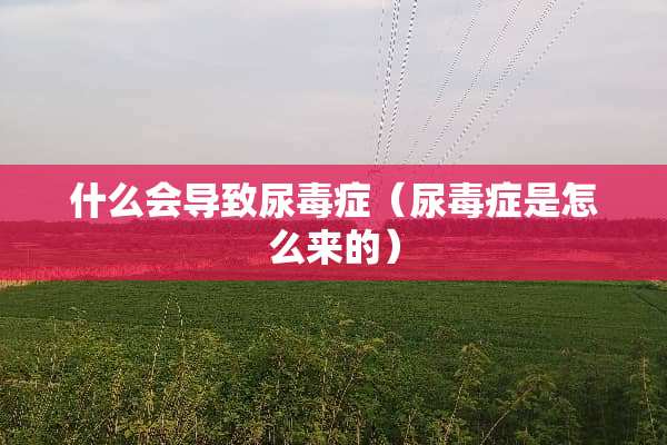 什么会导致尿毒症（尿毒症是怎么来的）