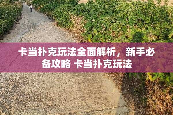 卡当**玩法全面解析，新手必备攻略 卡当**玩法