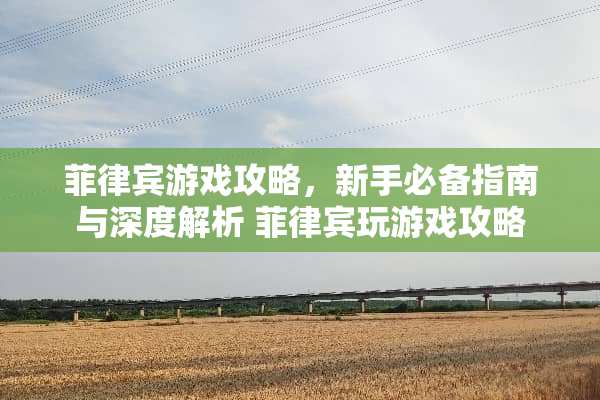 菲律宾游戏攻略，新手必备指南与深度解析 菲律宾玩游戏攻略