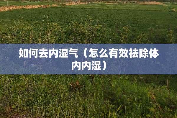 如何去内湿气（怎么有效祛除体内内湿）