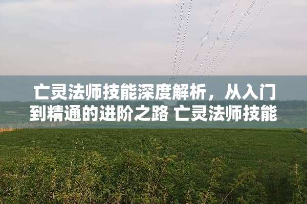 亡灵法师技能深度解析，从入门到精通的进阶之路 亡灵法师技能