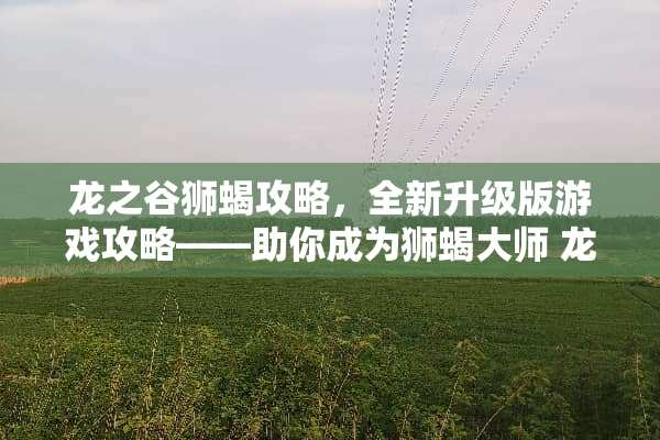 龙之谷狮蝎攻略，全新升级版游戏攻略——助你成为狮蝎大师 龙之谷狮蝎攻略