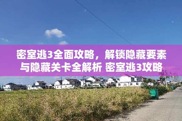 密室逃3全面攻略，解锁隐藏要素与隐藏关卡全解析 密室逃3攻略大全