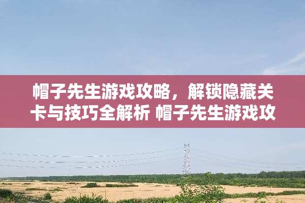 帽子先生游戏攻略，解锁隐藏关卡与技巧全解析 帽子先生游戏攻略93
