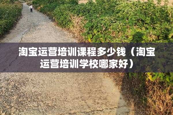 淘宝运营培训课程多少钱（淘宝运营培训学校哪家好）