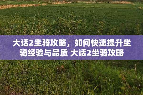 大话2坐骑攻略，如何快速提升坐骑经验与品质 大话2坐骑攻略