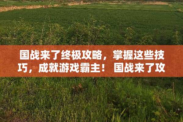 国战来了终极攻略，掌握这些技巧，成就游戏霸主！ 国战来了攻略