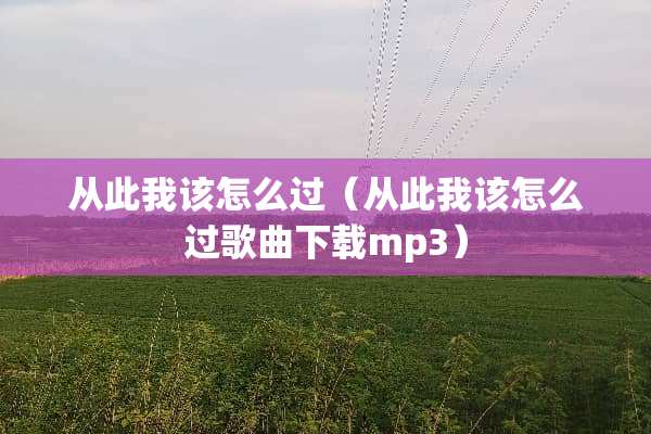 从此我该怎么过（从此我该怎么过歌曲下载mp3）