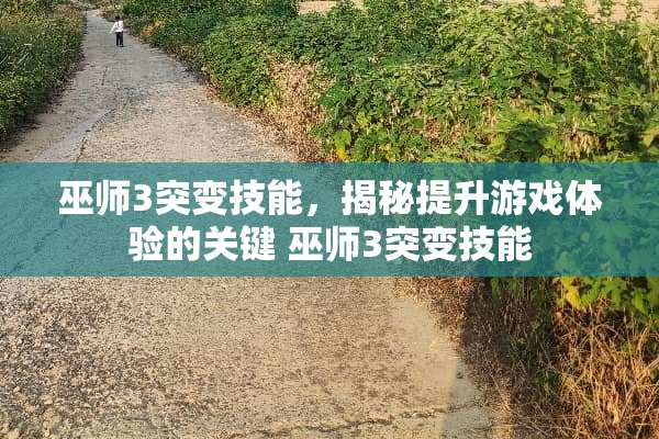 巫师3突变技能，揭秘提升游戏体验的关键 巫师3突变技能