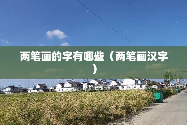 两笔画的字有哪些（两笔画汉字）