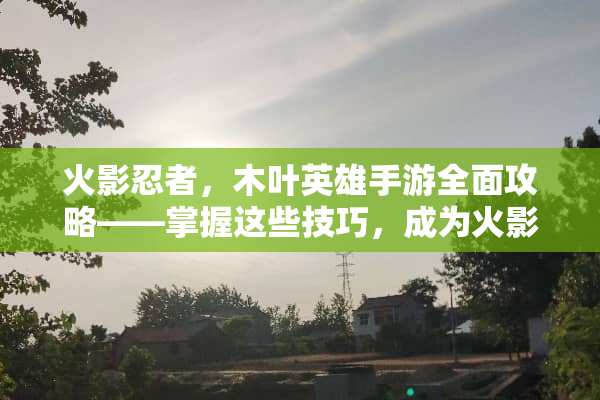 火影忍者，木叶英雄手游全面攻略——掌握这些技巧，成为火影世界的主宰 火影忍者手机游戏攻略