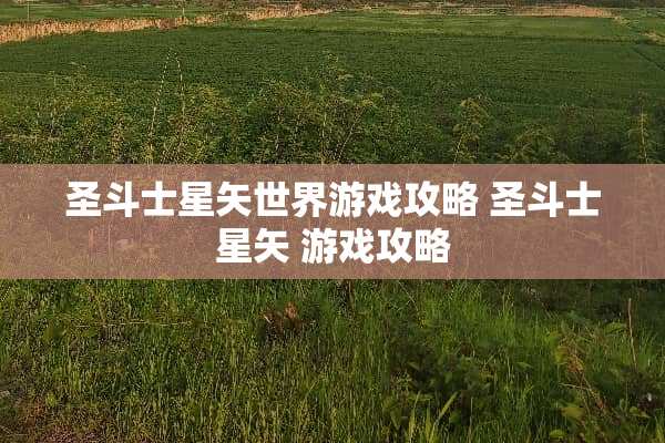 圣斗士星矢世界游戏攻略 圣斗士星矢 游戏攻略