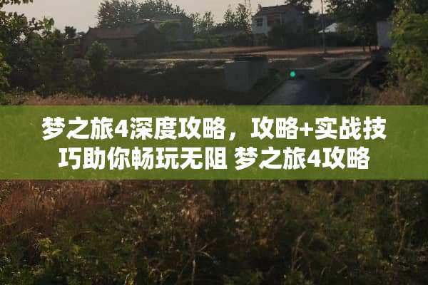 梦之旅4深度攻略，攻略+实战技巧助你畅玩无阻 梦之旅4攻略