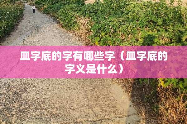 皿字底的字有哪些字（皿字底的字义是什么）