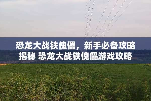 恐龙大战铁傀儡，新手必备攻略揭秘 恐龙大战铁傀儡游戏攻略